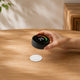 Focusaur NFC Tags Tap to Build Better Habits
